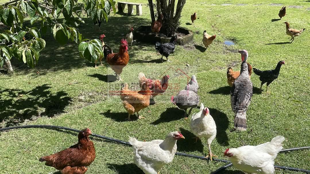 Chácara à venda, 2500m² - Foto 29