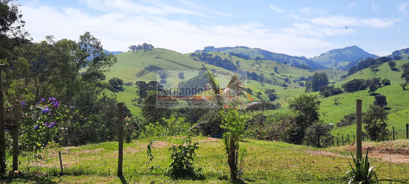 Sítio à venda, 24000m² - Foto 6