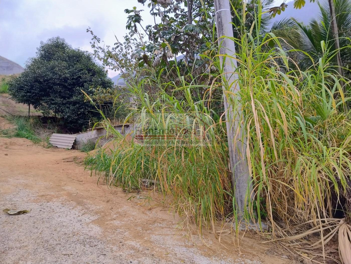 Terreno à venda, 279m² - Foto 9