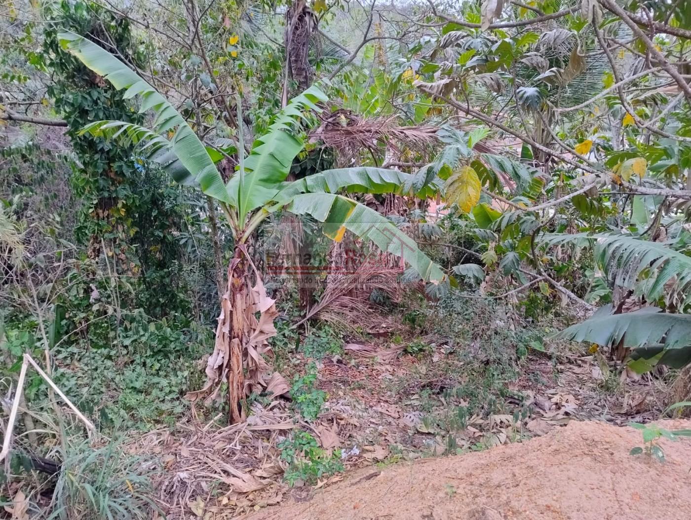 Terreno à venda, 279m² - Foto 12