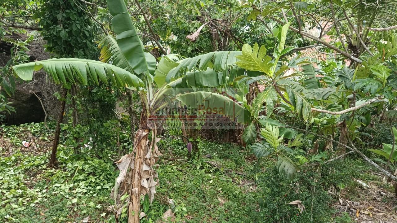 Terreno à venda, 279m² - Foto 19