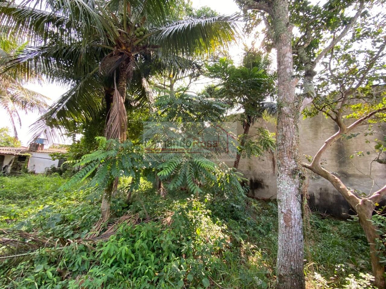 Terreno, 250 m² - Foto 1