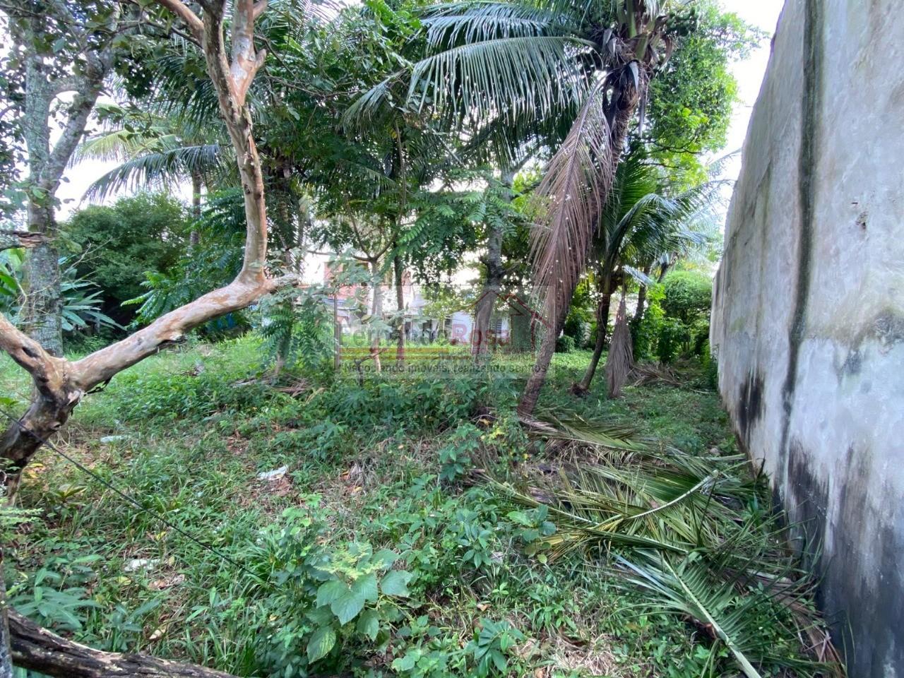 Terreno, 250 m² - Foto 2