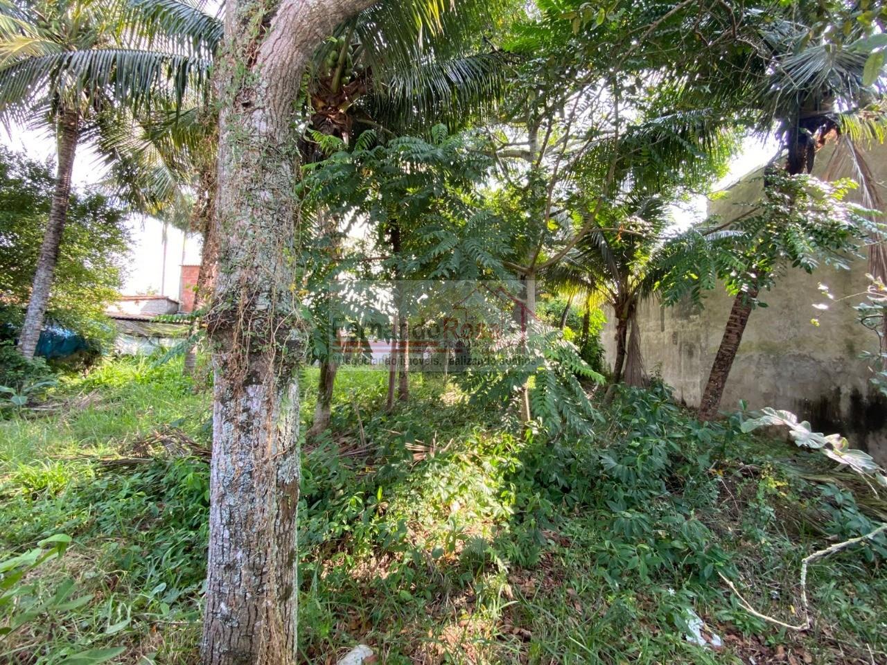 Terreno, 250 m² - Foto 3