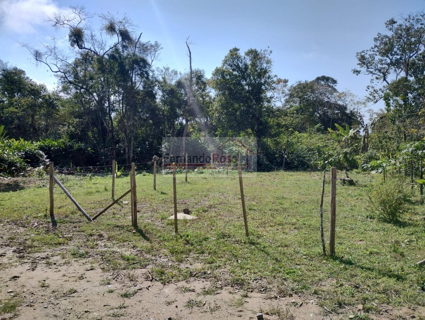 Terreno à venda, 250m² - Foto 1