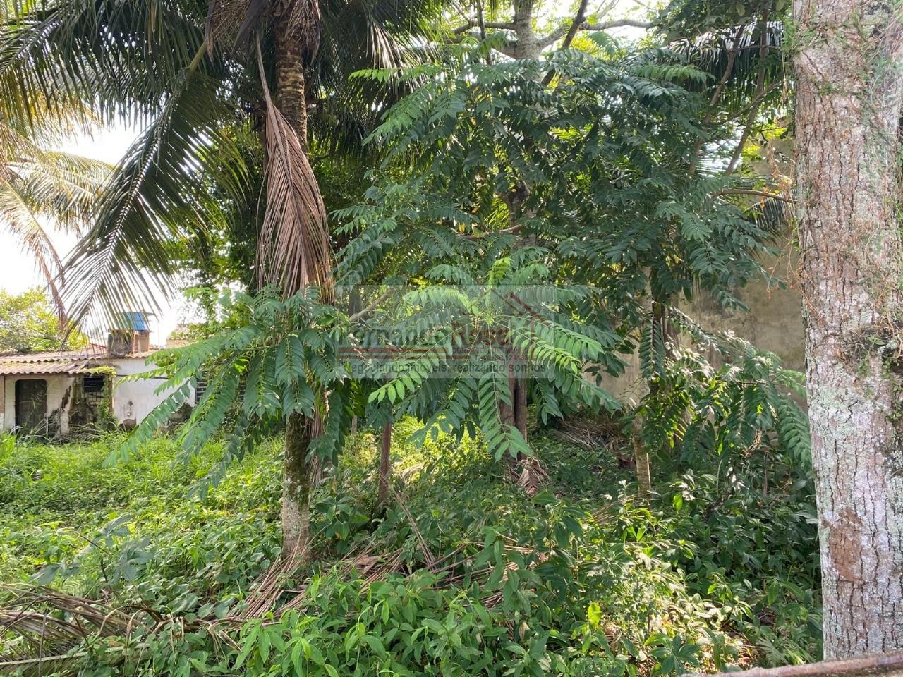Terreno à venda, 250m² - Foto 1
