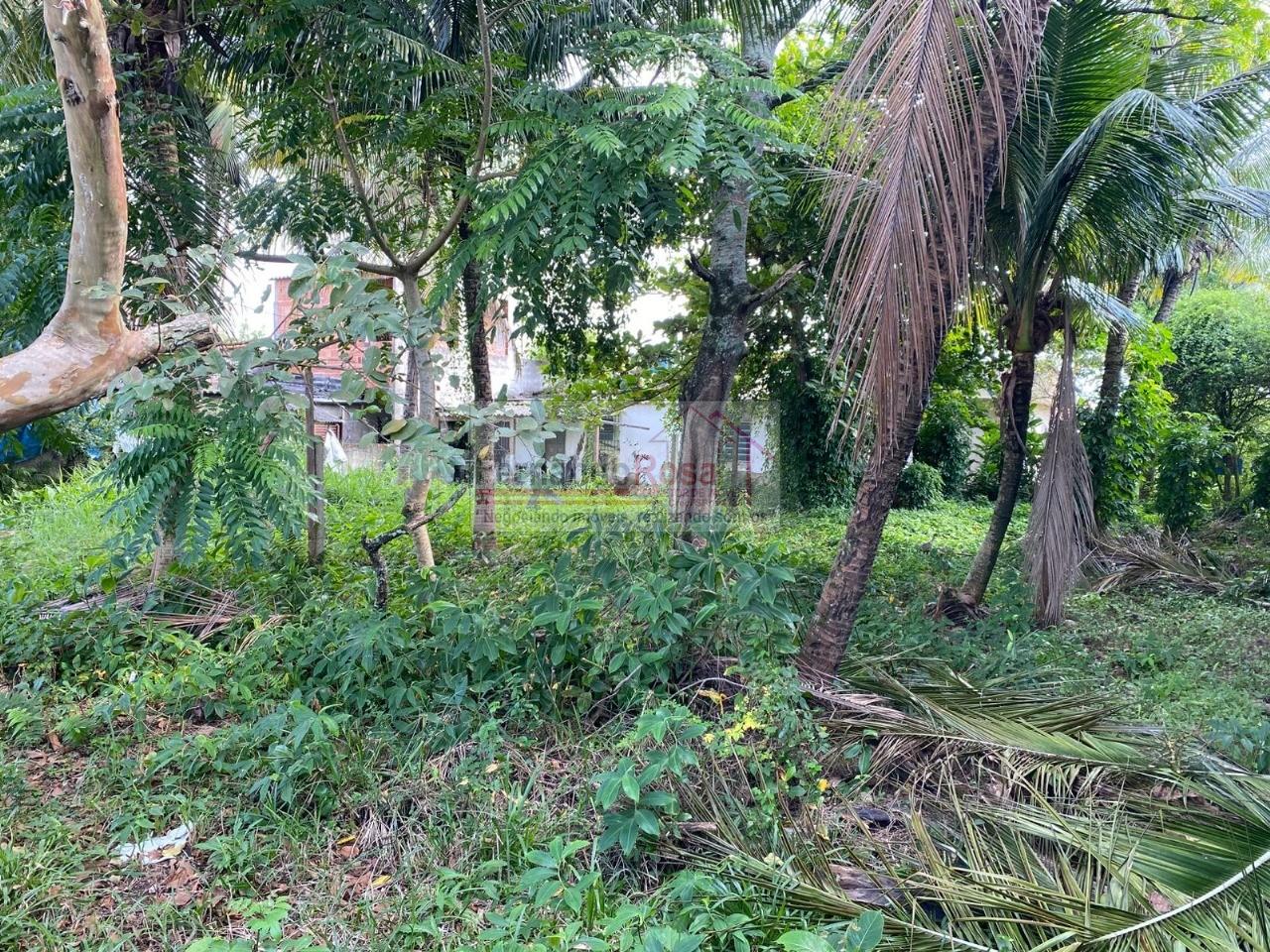 Terreno à venda, 250m² - Foto 3