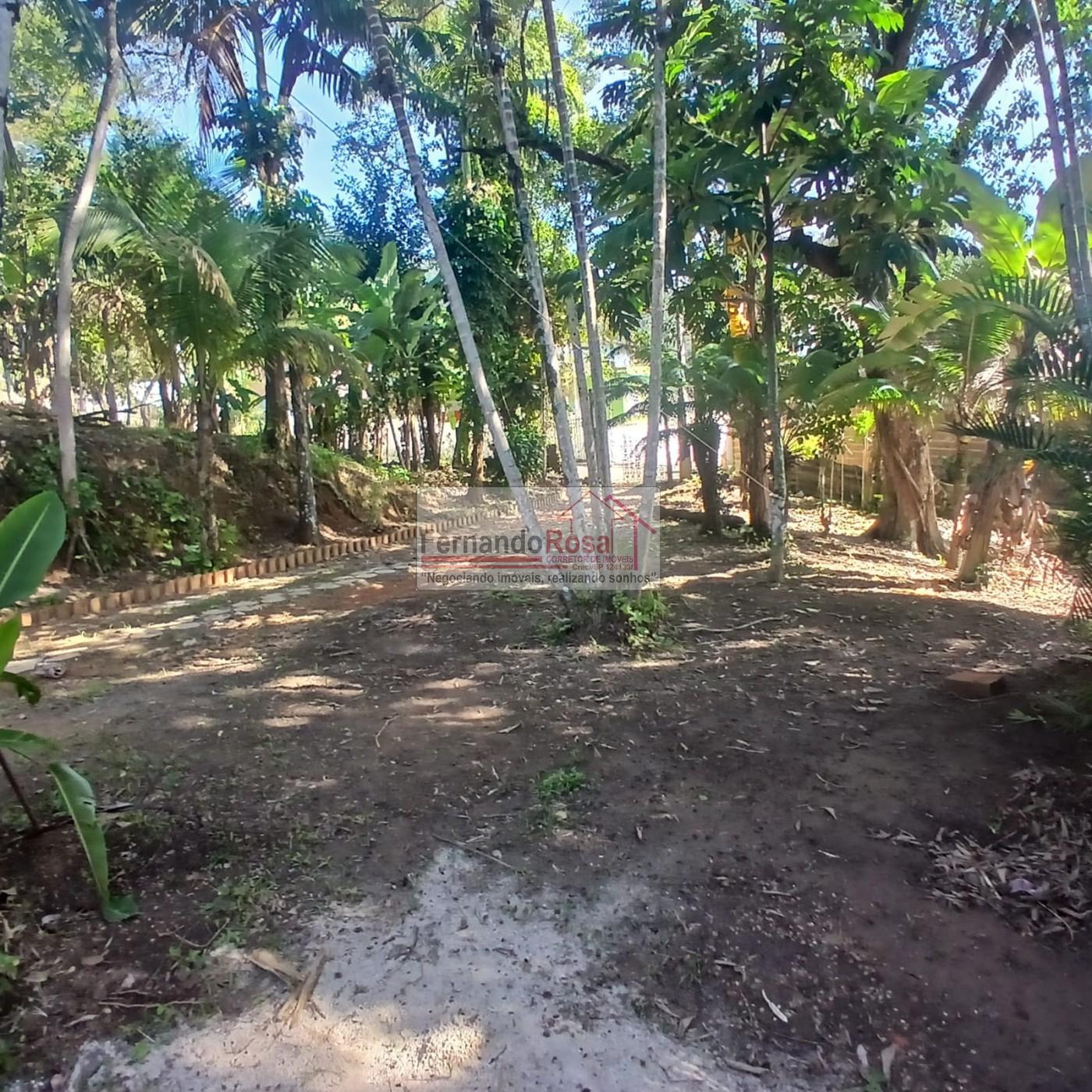 Chácara, 2 quartos, 3 hectares - Foto 6