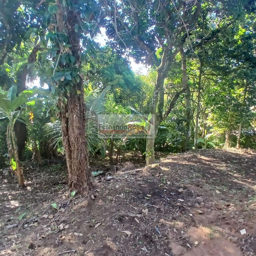 Chácara, 2 quartos, 3 hectares - Foto 7