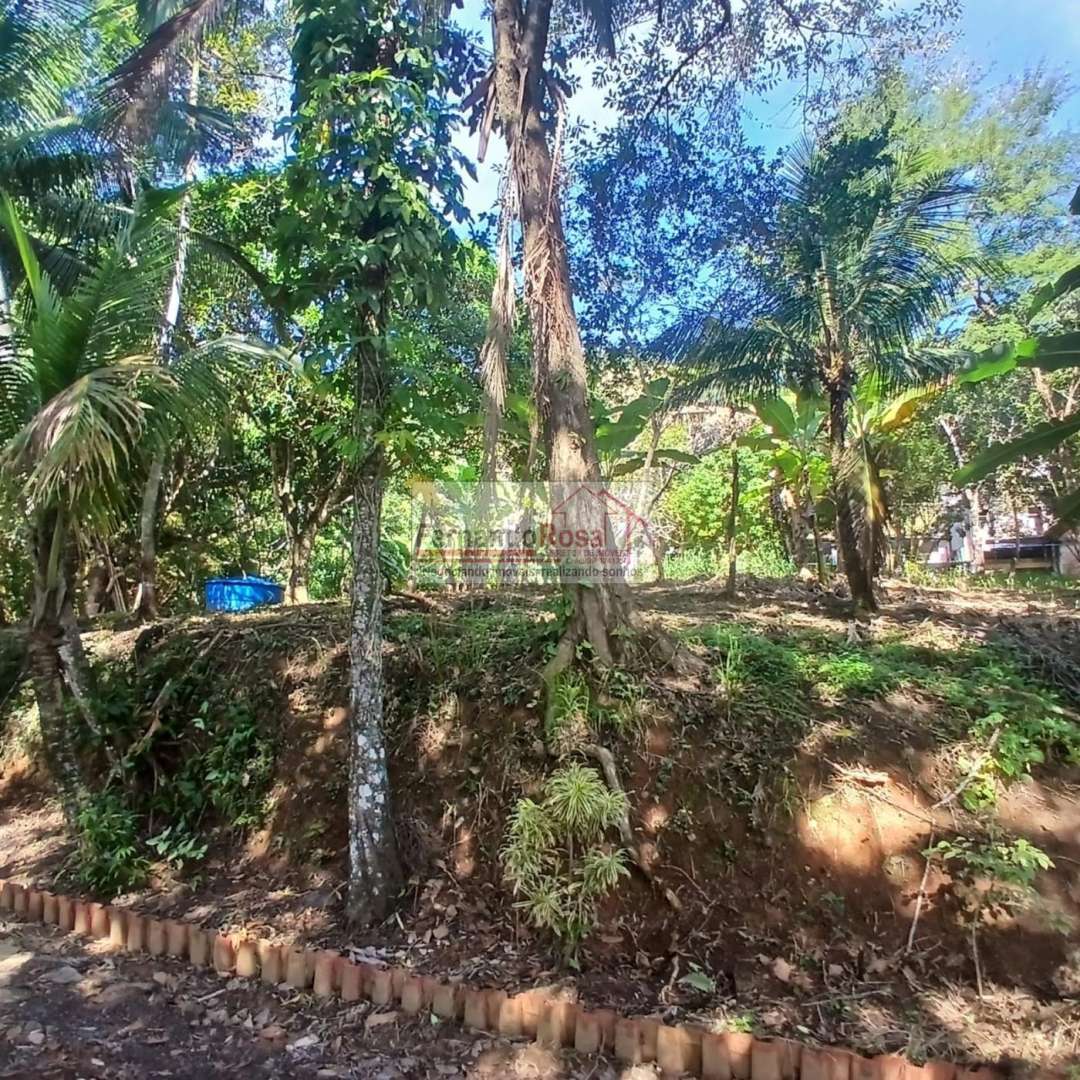 Chácara, 2 quartos, 3 hectares - Foto 11