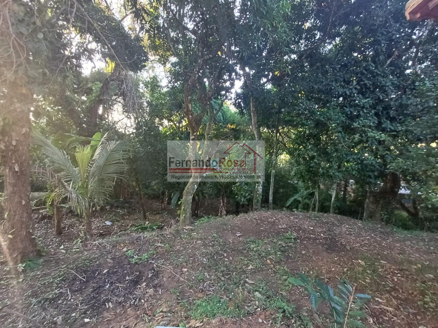 Chácara, 2 quartos, 3 hectares - Foto 22