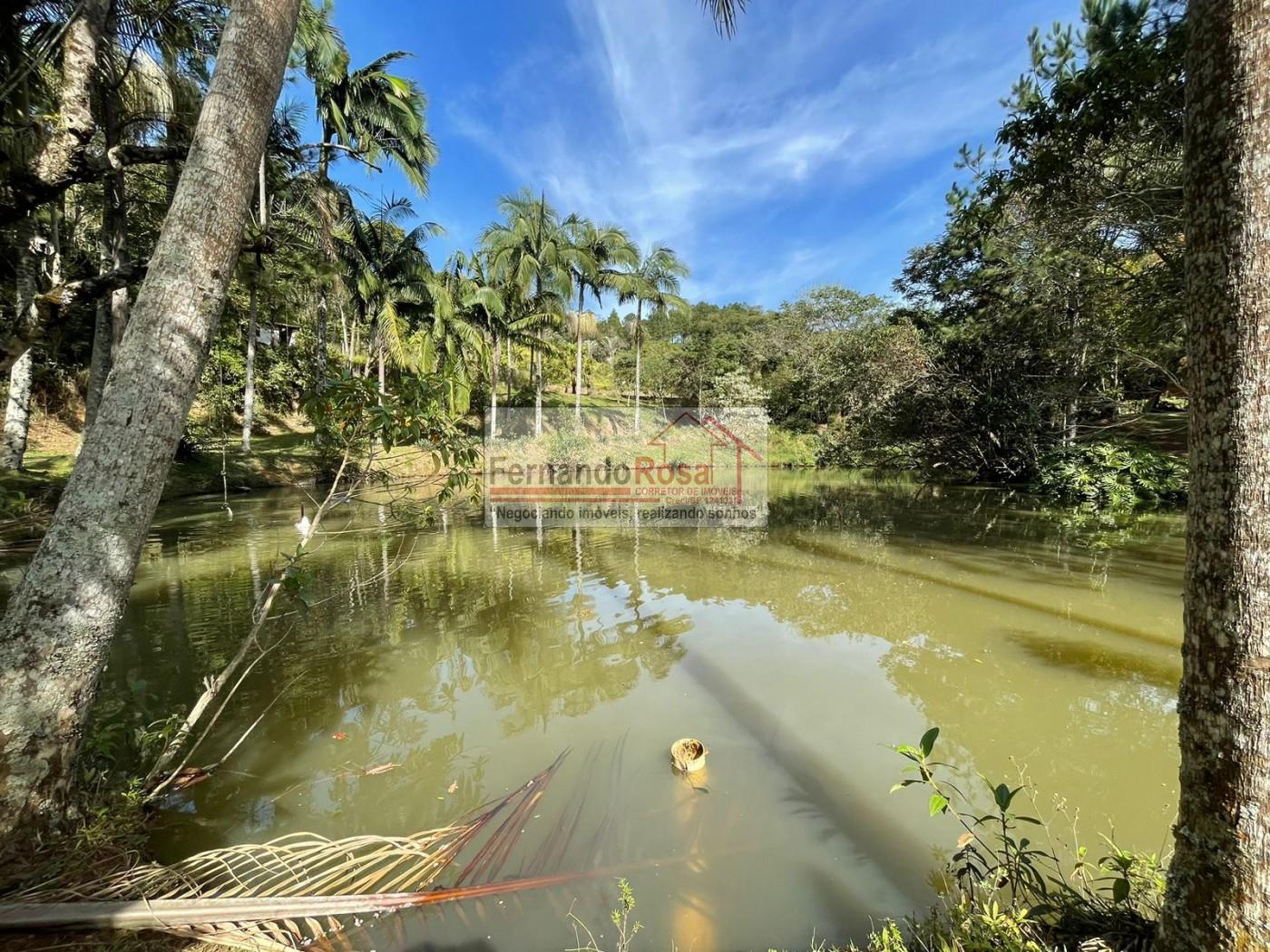 Sítio à venda com 3 quartos, 14000m² - Foto 8