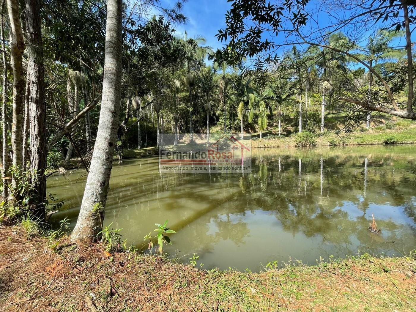 Sítio à venda com 3 quartos, 14000m² - Foto 9