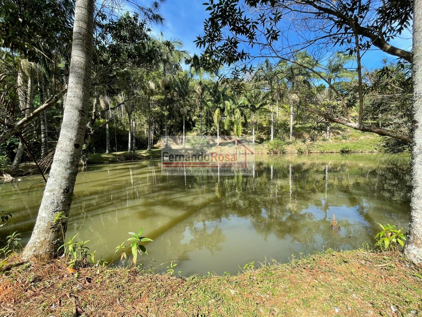 Sítio à venda com 3 quartos, 14000m² - Foto 10