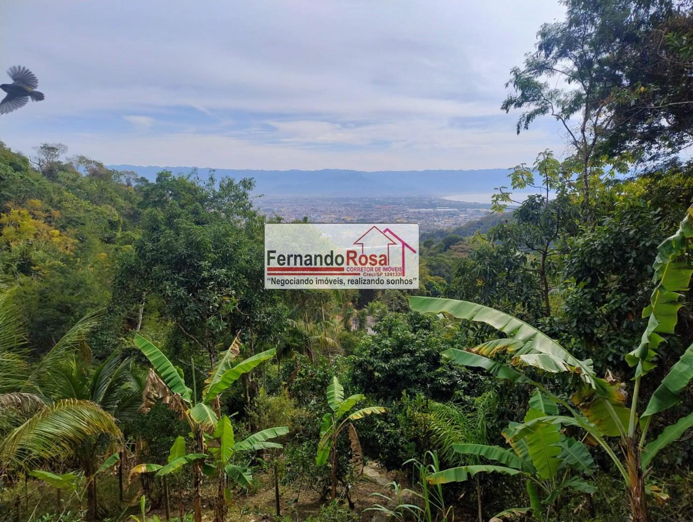 Chácara, 3 quartos, 1500 m² - Foto 4