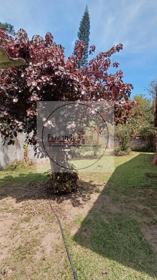 Chácara, 3 quartos, 3300 m² - Foto 9