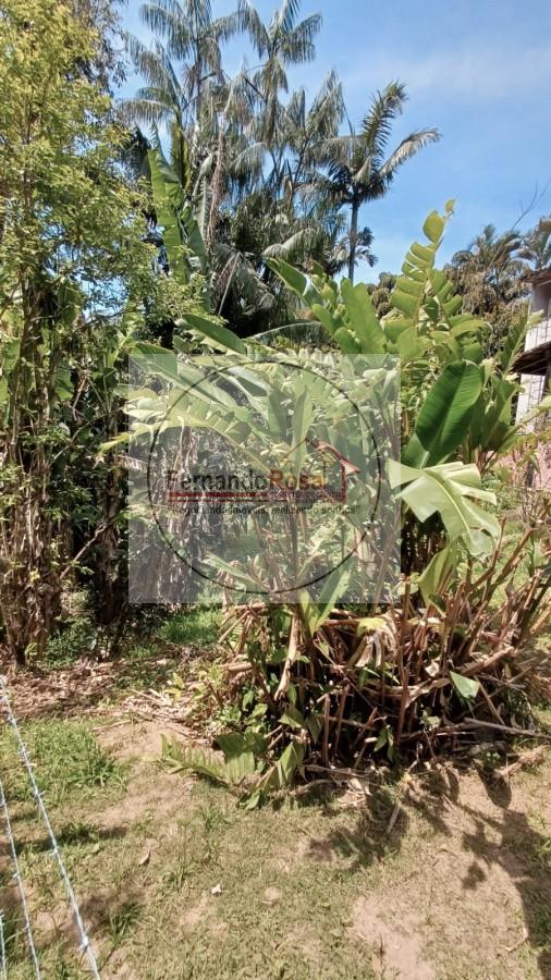 Chácara, 3 quartos, 3300 m² - Foto 19