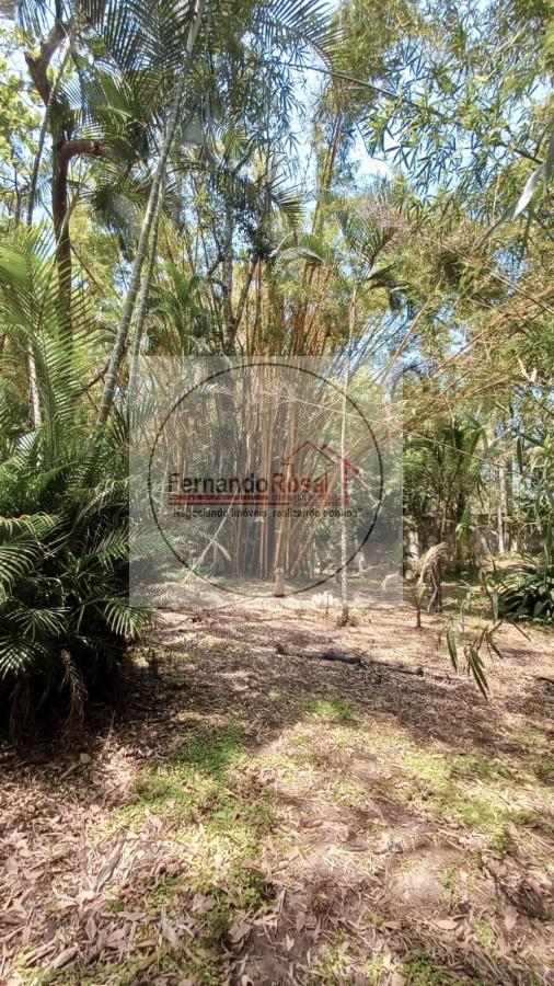 Chácara, 3 quartos, 3300 m² - Foto 29