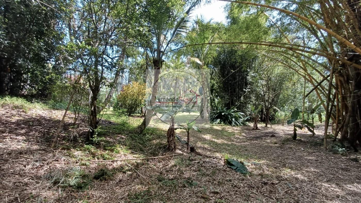 Chácara, 3 quartos, 3300 m² - Foto 33