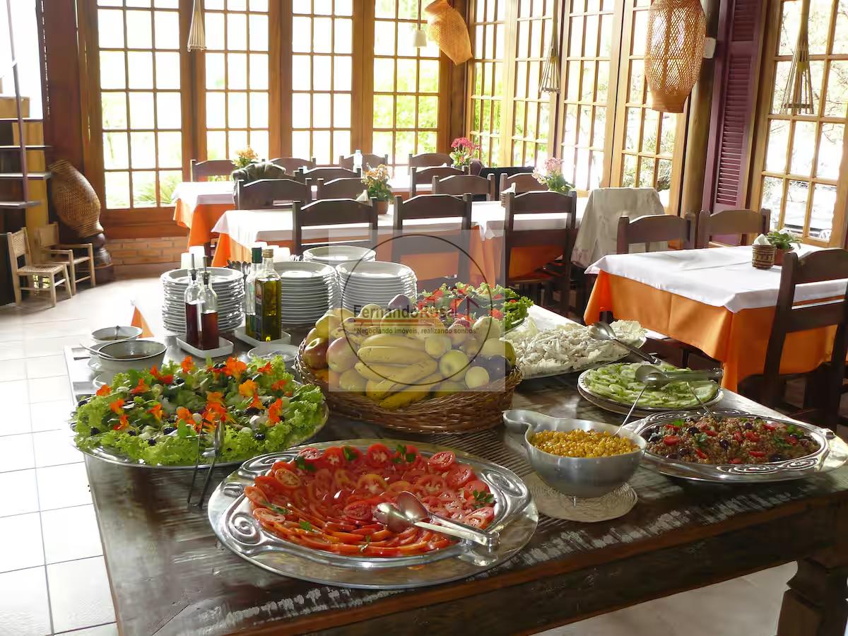 Sítio, 6 hectares - Foto 15