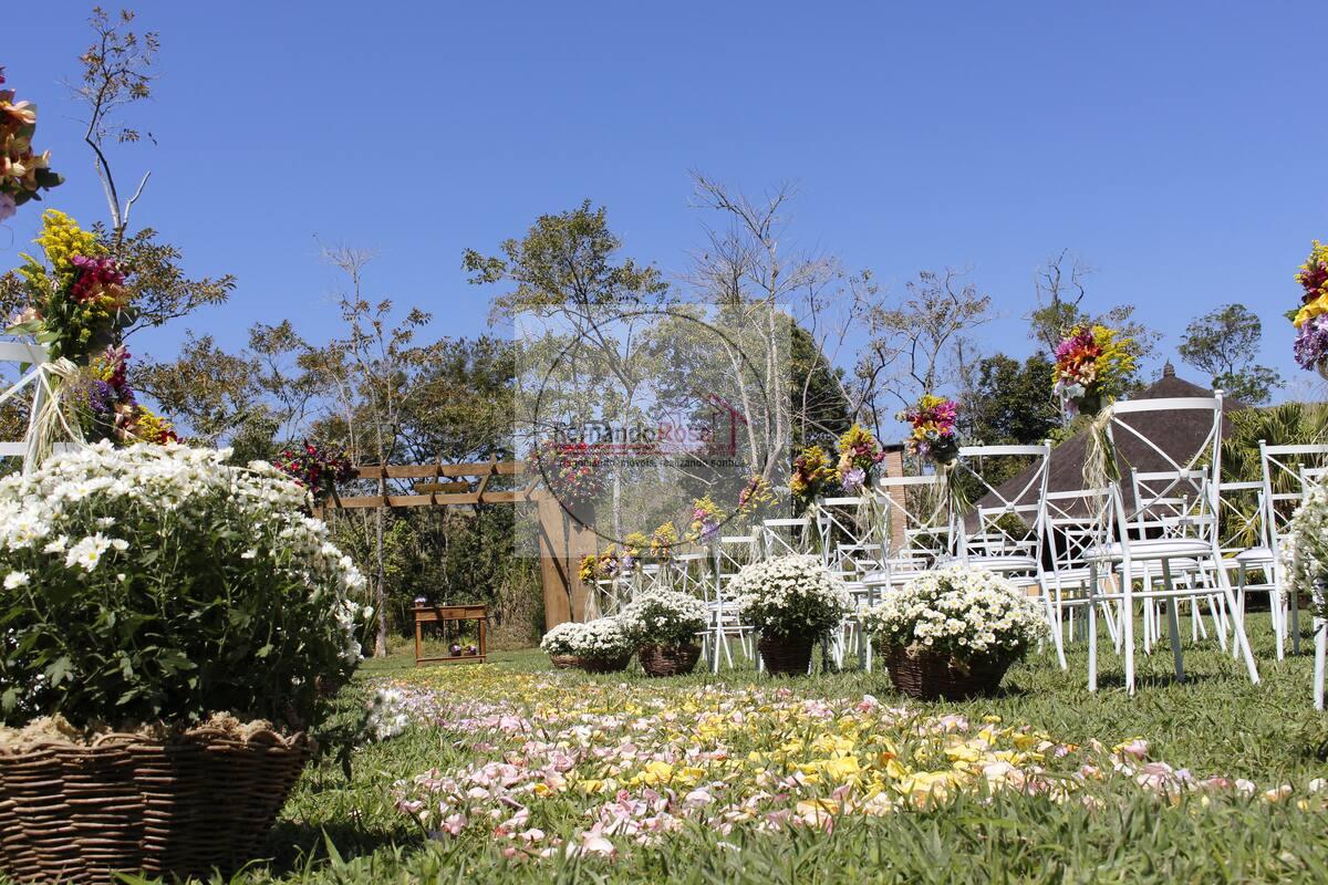 Sítio, 6 hectares - Foto 31