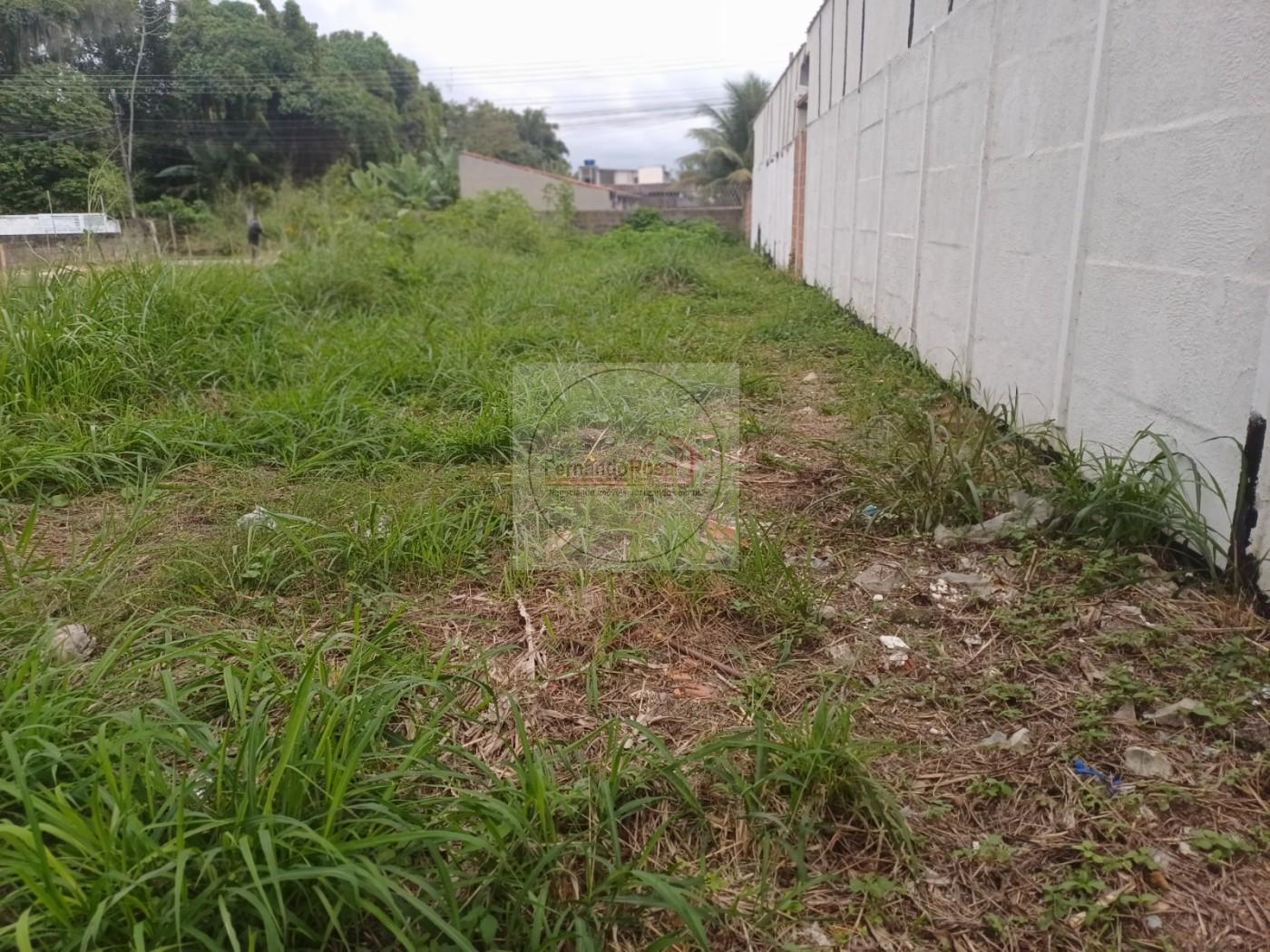 Terreno, 192 m² - Foto 5