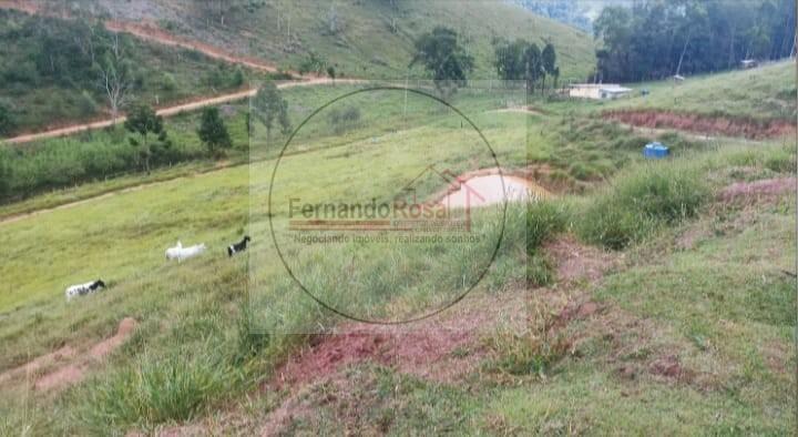 Chácara, 4 hectares - Foto 6