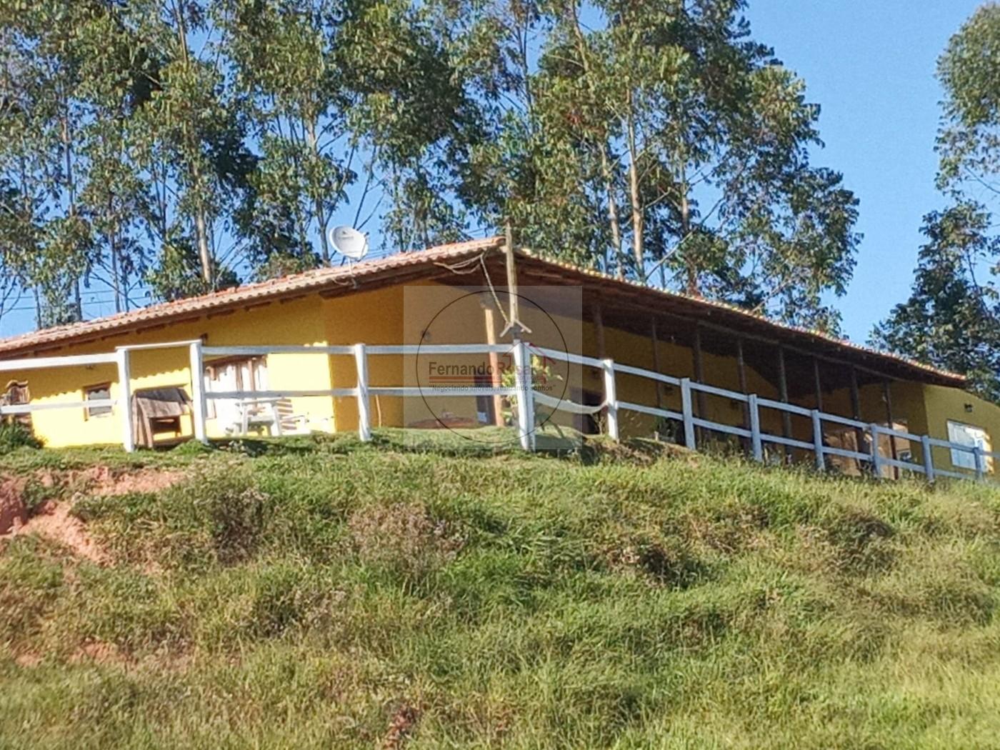 Chácara, 4 hectares - Foto 3