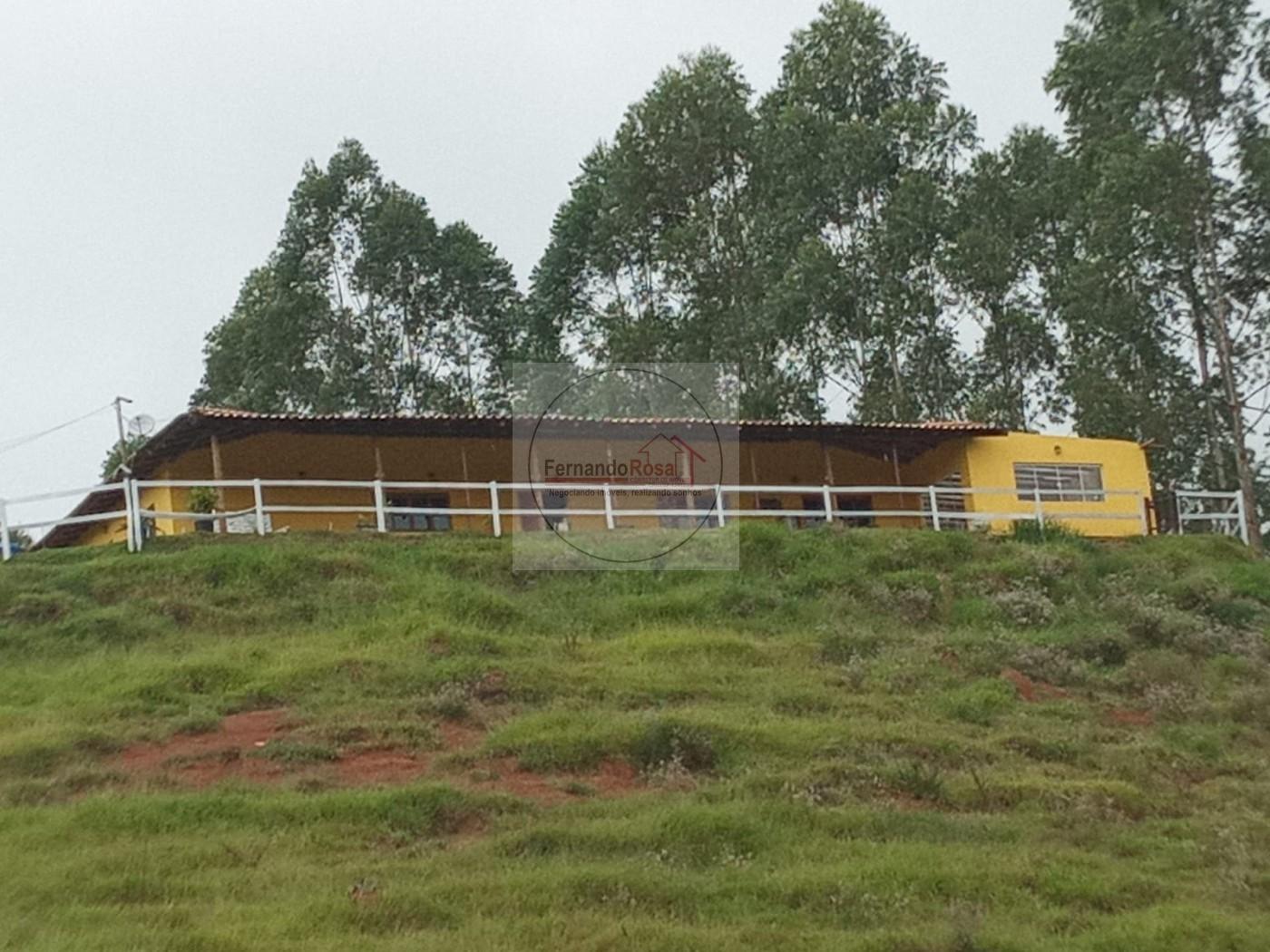 Chácara, 4 hectares - Foto 2