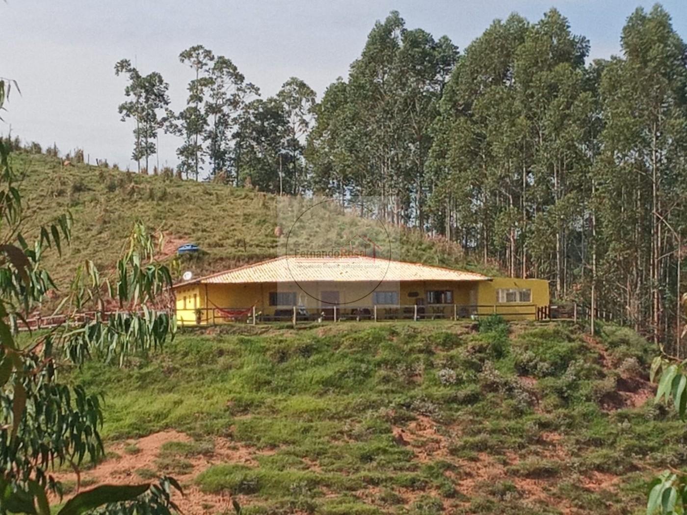 Chácara, 4 hectares - Foto 5