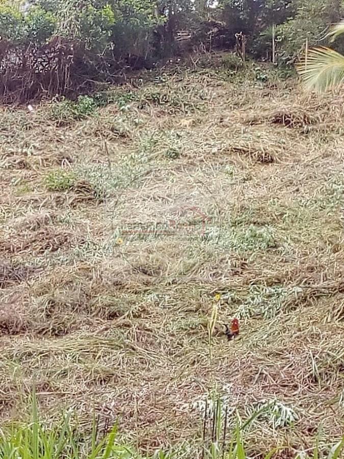 Terreno, 780 m² - Foto 4