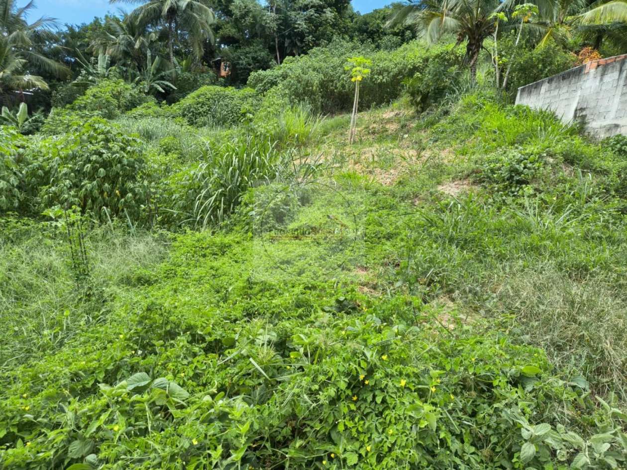 Terreno, 780 m² - Foto 5