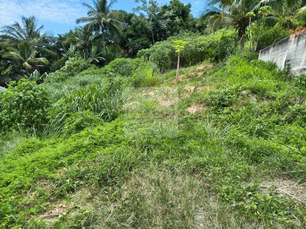 Terreno, 780 m² - Foto 6