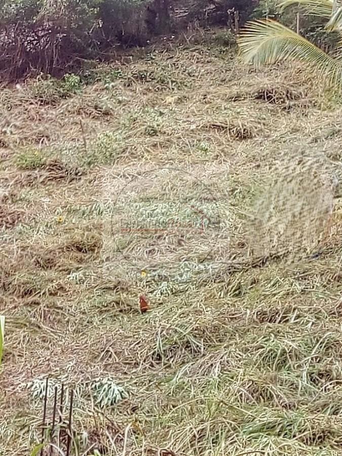 Terreno, 780 m² - Foto 9