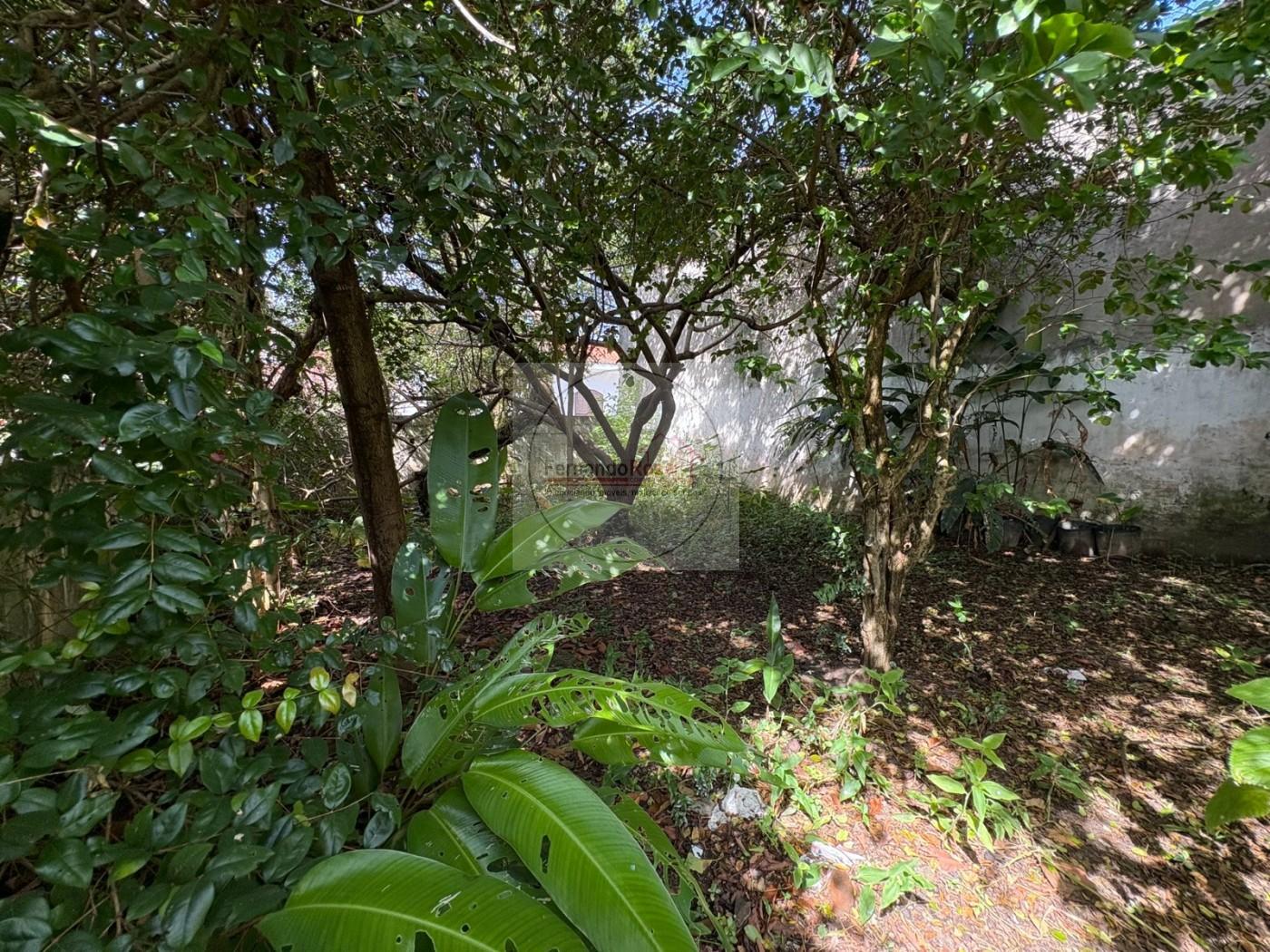 Casa, 5 quartos, 201 m² - Foto 3