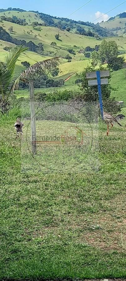 Chácara, 2 hectares - Foto 43