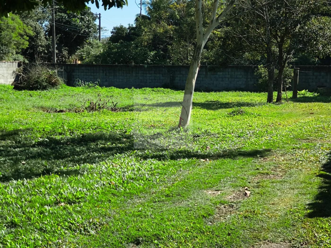 Terreno, 2750 m² - Foto 2